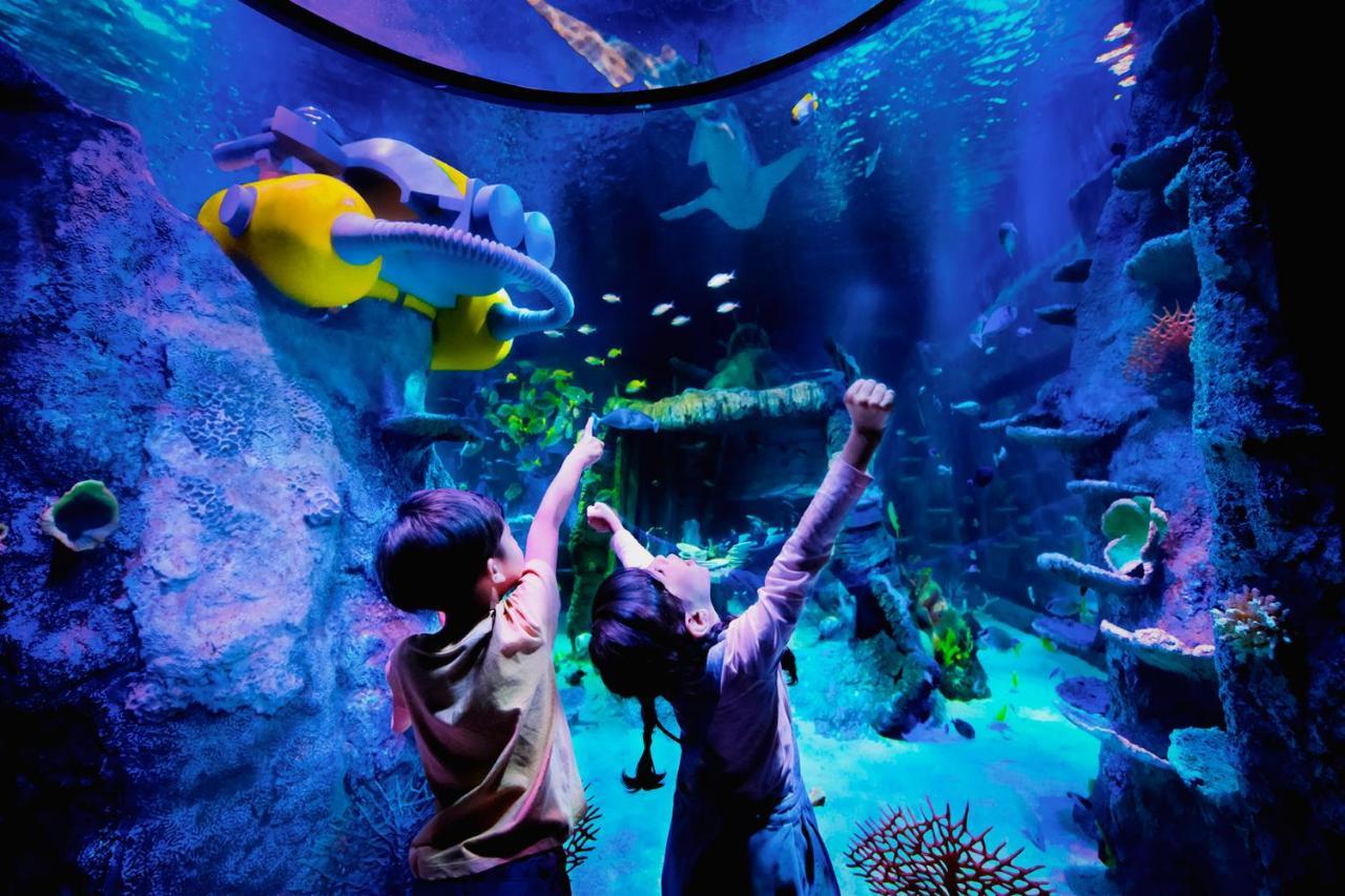 Legoland Malaysia Hotel Nusajaya  Exteriér fotografie Aquarium at the National Museum of Natural History